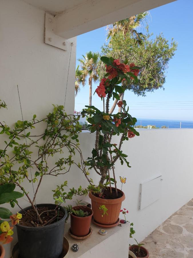 Ikaria Village-Ground Floor Apartment No 4 Klorakas Екстериор снимка